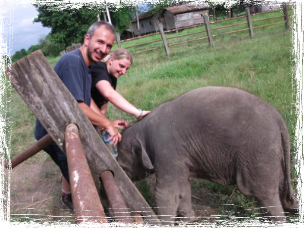 nepal chitwan elefantino viaggio da una vita elisabetta lorenzo